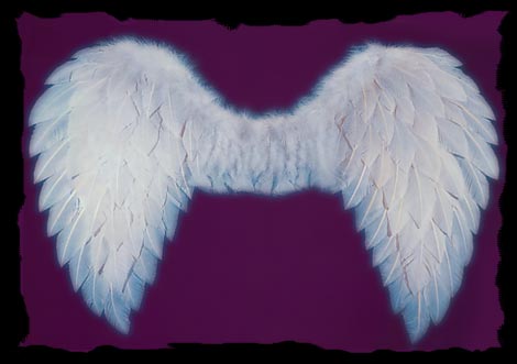 LARGE FEATHER WINGS