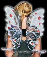 Black Butterfly Wings