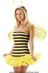 http://www.spookyboutique.com/boutique/costumes/8412-bumblebee.jpg