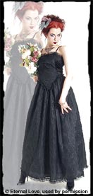Lace/Tafetta Party Dress