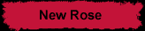 new rose