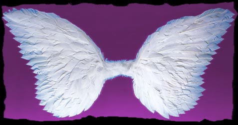 LARGE FEATHER WINGS