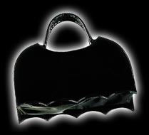 Bat Wing Purse
